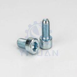 Internal Hexagonal Round Head Screw