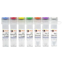 NGS Library Preparation Kits