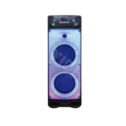 YD-T217-10-Yidi 10 Inch Full Flashable Speaker